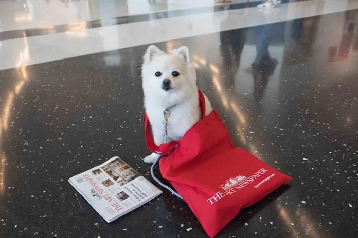 We're looking for a newshound who knows how to sniff out a good story, Photo David Owens