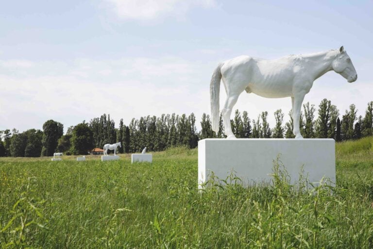 Alberto Garutti I cavalli e i cani qui ritratti vivono nel podere 2 Arte in relazione. Una conversazione tra Anna Detheridge e Alberto Garutti