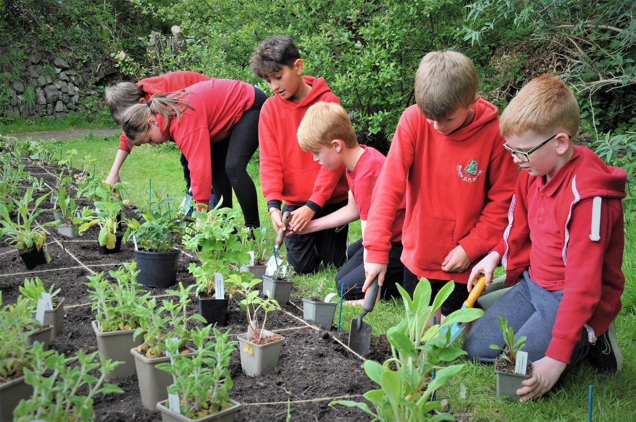 Alexandra Daisy Ginsberg, Pollinator Pathmaker DIY Edition Roche School. © Roche
