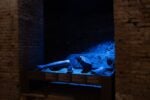 L'Amato di Iside. Nerone, la Domus Aurea e l'Egitto. Parco archeologico del Colosseo