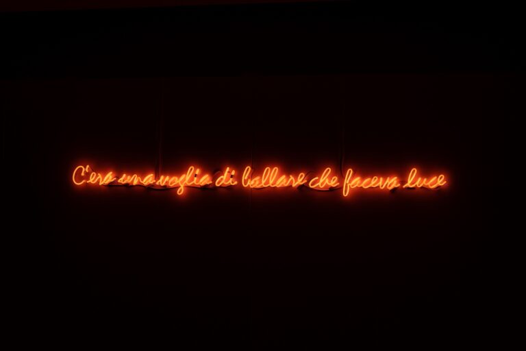 Elena Bellantoni, Se ci fosse luce sarebbe bellissimo, installation view at Fondazione Dino Zoli, Forlì, 2023. Photo Cristina Patuelli