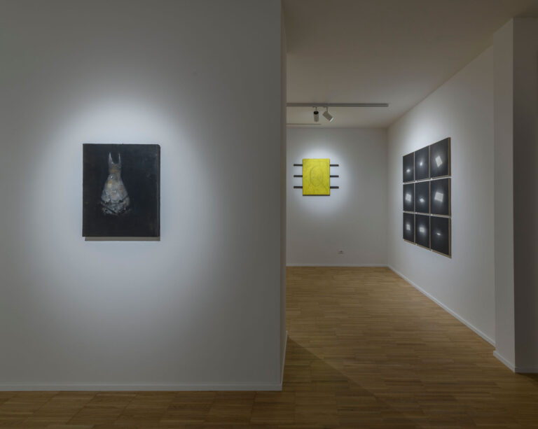 Le stelle di San Lorenzo, installation view at Gilda Lavia, Roma, 2023. Photo Giorgio Benni