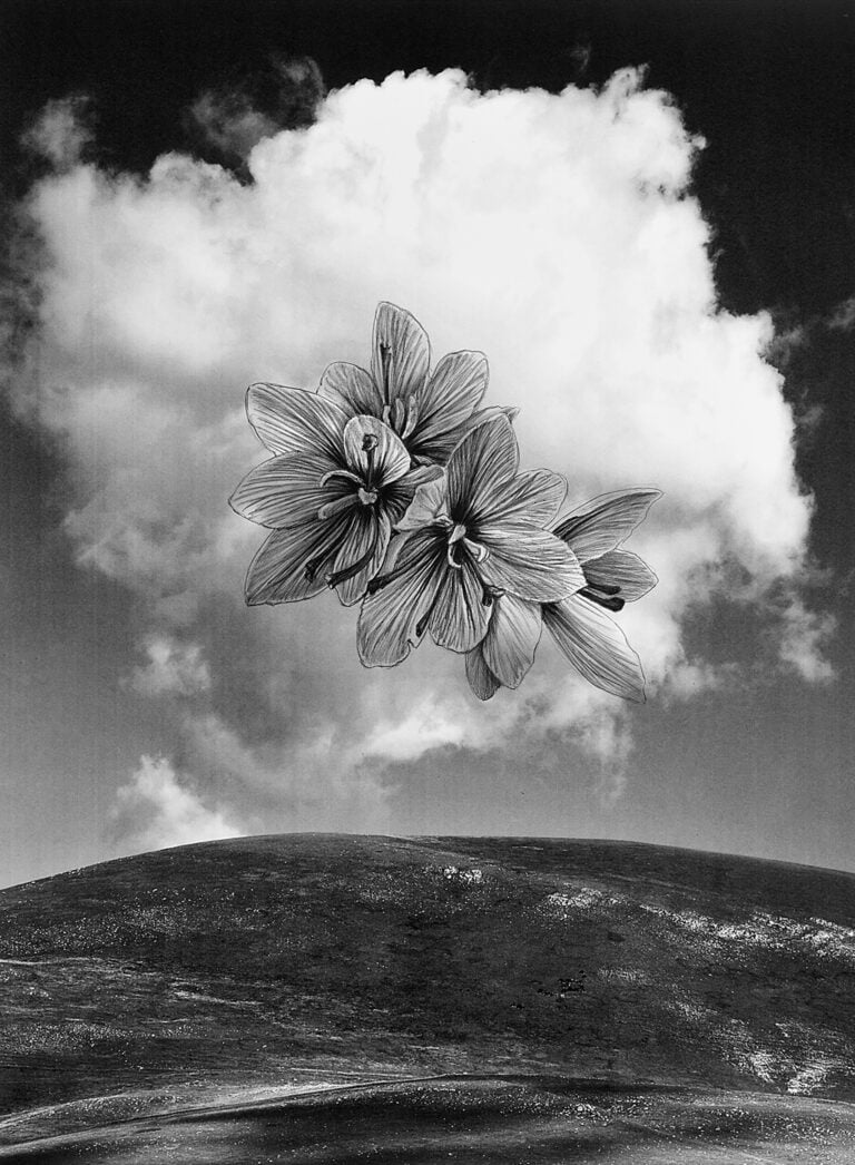 Giuseppe Stampone, La natura delle cose, 2023, Penna Bic su fotografia 40 x 30 cm. Photo Gino Di Paolo. Courtesy Museolaboratorio ex manifattura tabacchi, Città Sant'Angelo (PE)