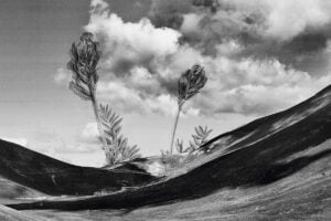 La mostra di Giuseppe Stampone è un omaggio alla natura dell’Abruzzo