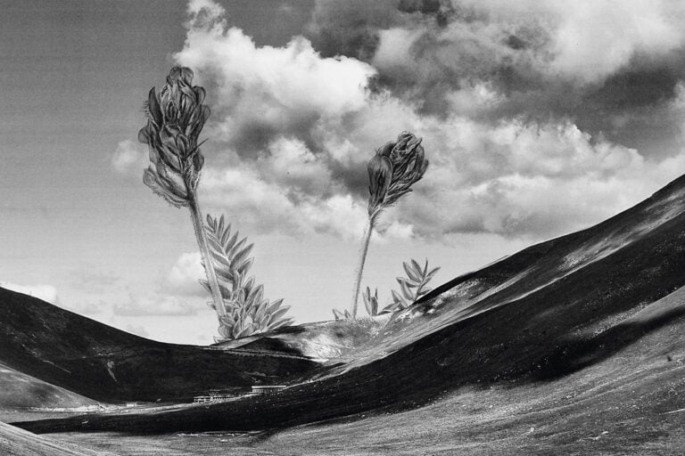 Giuseppe Stampone, La natura delle cose, 2023, Penna Bic su fotografia 40 x 30 cm. Photo Gino Di Paolo. Courtesy Museolaboratorio ex manifattura tabacchi, Città Sant'Angelo (PE)