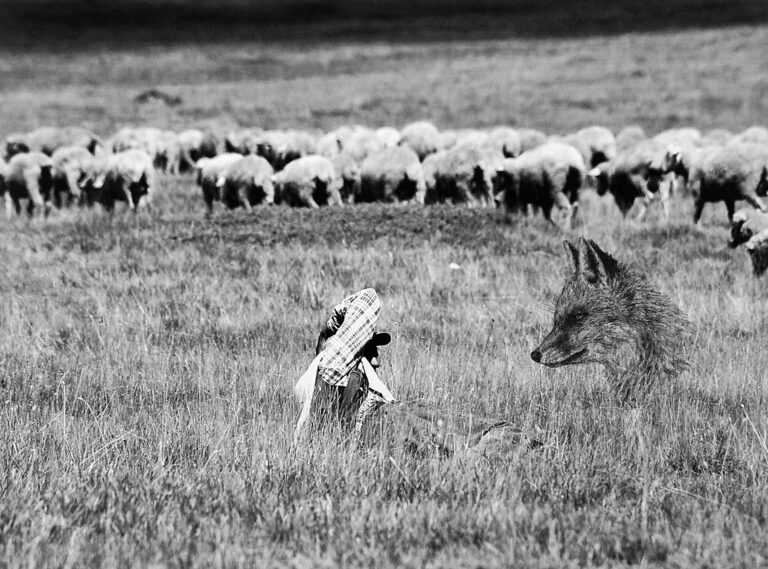 Giuseppe Stampone, La natura delle cose, 2023. Penna Bic su fotografia 40 x 30 cm. Photo Gino Di Paolo. Courtesy Museolaboratorio ex manifattura tabacchi, Città Sant'Angelo (PE)