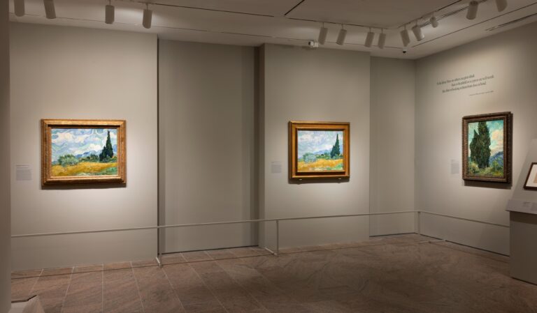 Installation view of Van Gogh’s Cypresses, on view May 22–August 27, 2023 at The Metropolitan Museum of Art. Photo by Richard Lee, courtesy of The Met