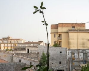 Il progetto fotografico sul Terzo Settore italiano