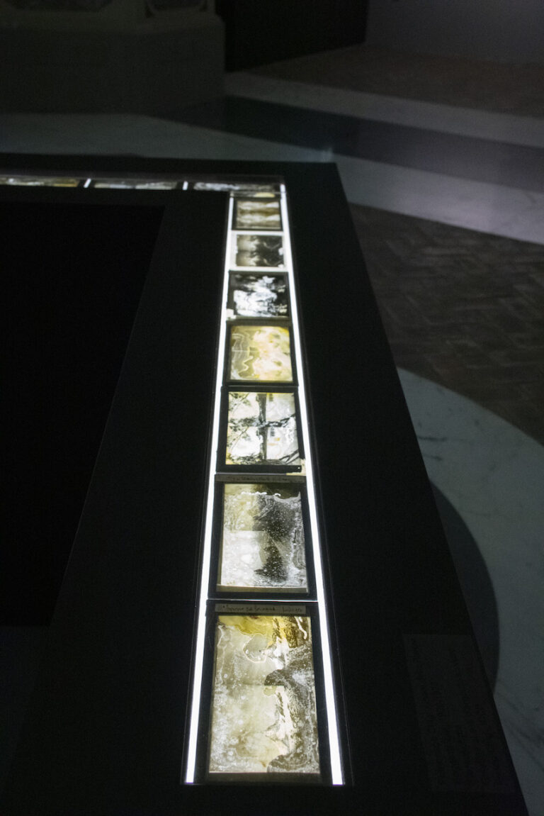 Joan Fontcuberta, Cultura di polvere, installation view at ICCD, Roma, 2023