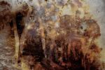 Joan Fontcuberta, Trauma, 2022, Cultura di polvere, Roma, 2023