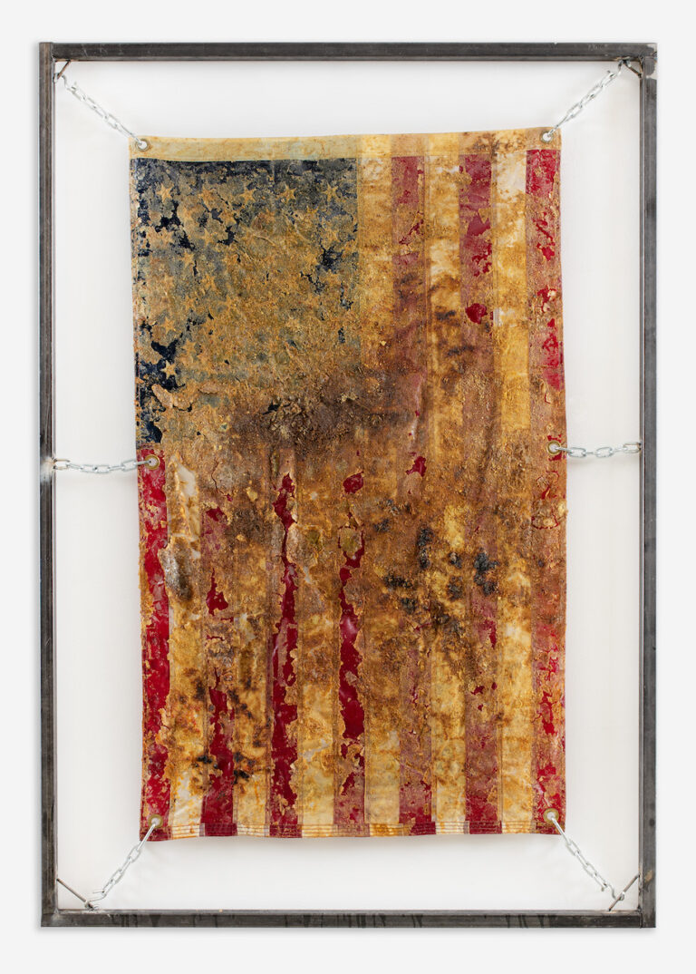 Kiyan Williams, Fried and Suspended Flag, 2023. Courtesy Peres Projects