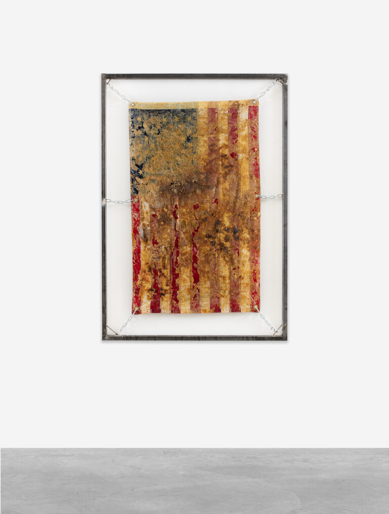 Kiyan Williams, Fried and Suspended Flag, 2023. Courtesy Peres Projects