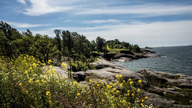 L’isola di Vallisaari. ©Matti Pyykko:Helsinki Biennaali