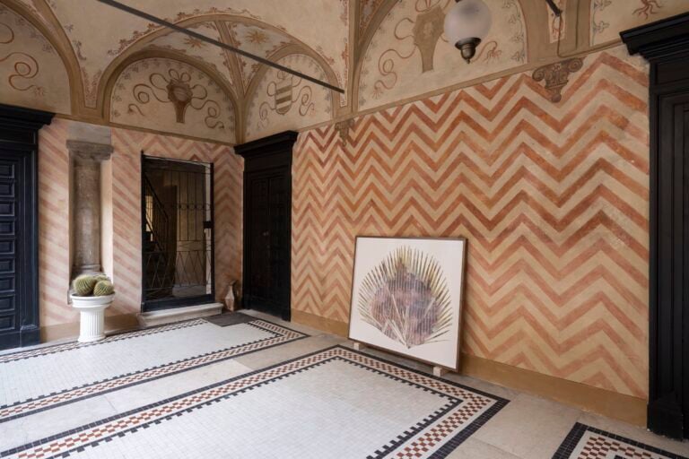 Luca Tevisani, Palazzo Guazzoni, Cremona, 2023. Courtesy Cremona Contemporanea Art Week. Photo Andrea Rossetti