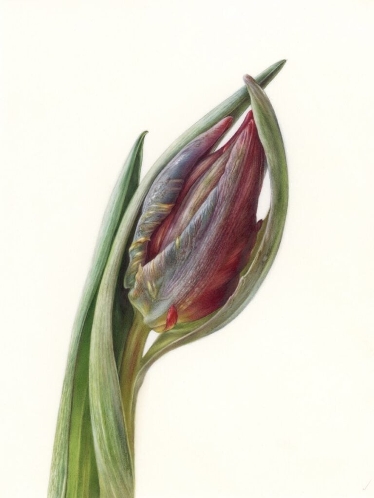 Marina Kiselyova, Tulip Bud, 2022 Photo: Marina Kiselyova. Courtesy: Accesso Galleria