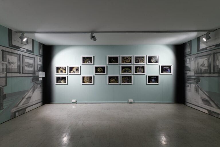 Museo delle Opacità. Installation view. Ph Giorgio Benni