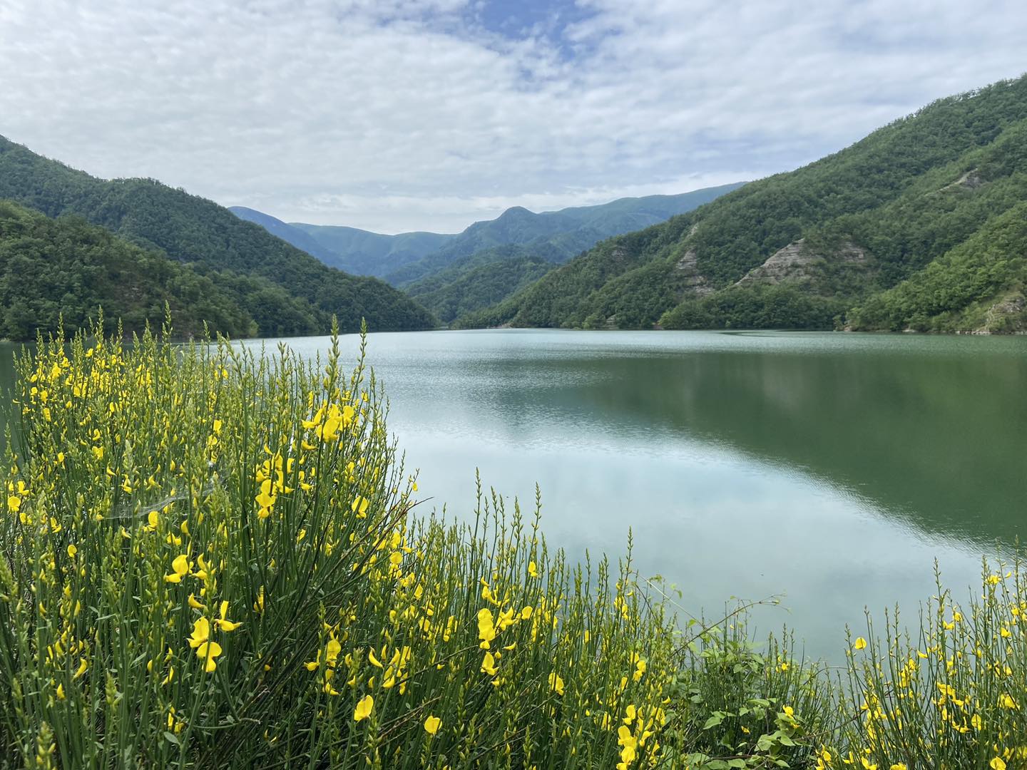 Parco Nazinale delle Foreste Casentinesi