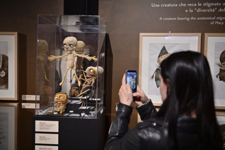 Stefano Bessoni, La Mole delle Meraviglie, installation view at Mole Antonelliana, Torino, 2023