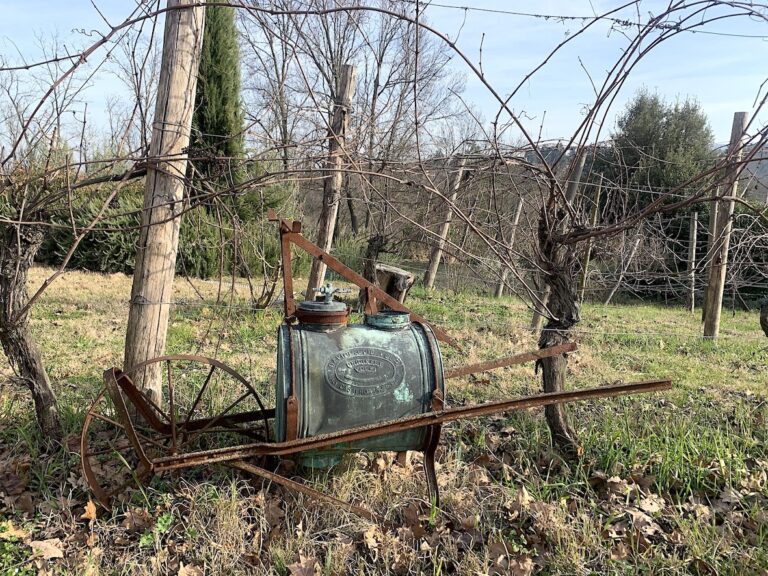 Tenuta Santa Cecilia, Croara (Bologna). Photo Claudia Zanfi