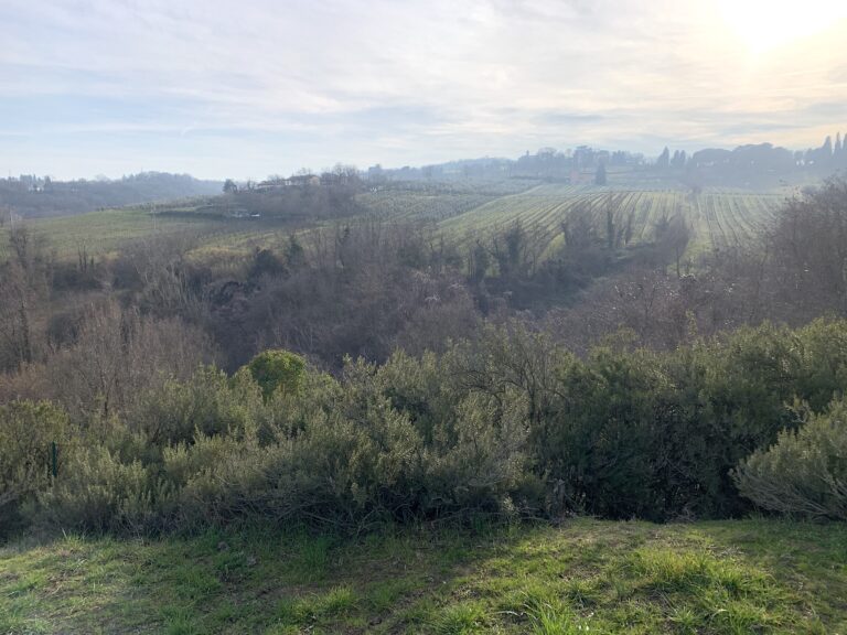 Tenuta Santa Cecilia, Croara (Bologna). Photo Claudia Zanfi