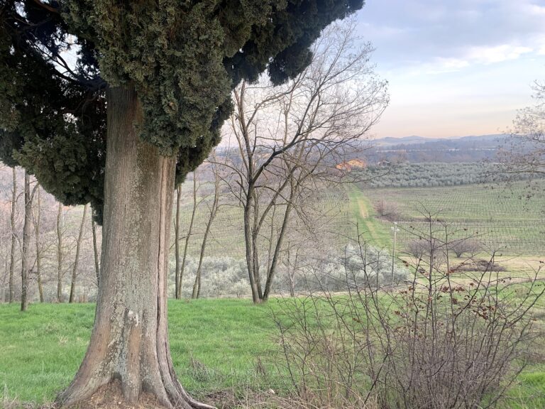 Tenuta Santa Cecilia, Croara (Bologna). Photo Claudia Zanfi