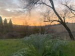 Veduta delle colline, Croara (Bologna). Photo Claudia Zanfi