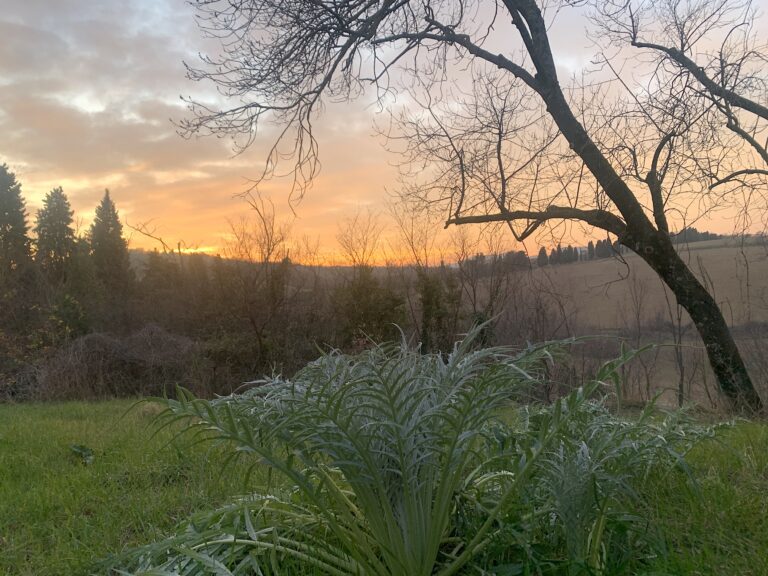 Veduta delle colline, Croara (Bologna). Photo Claudia Zanfi