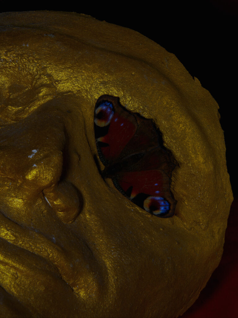 Luca Santese, Festa, Vanessa Io, 2019