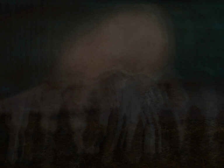 Luca Santese, The Bull, 2022