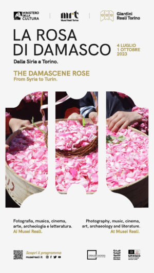 La Rosa di Damasco. Dalla Siria a Torino