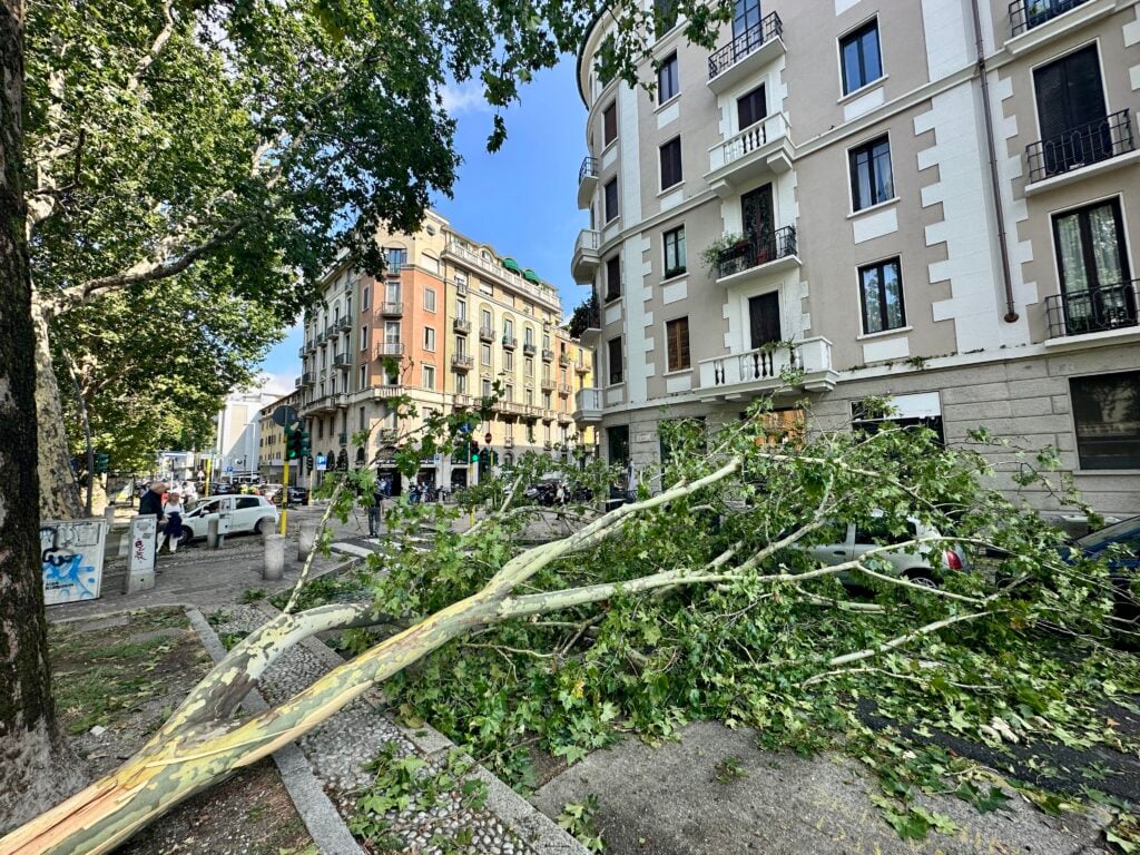 Alberi caduti a Milano per il nubifragio del 25 luglio 2023