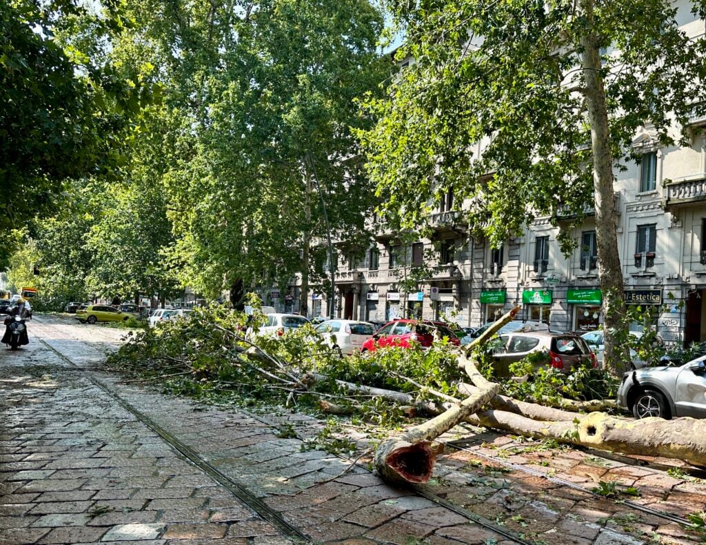 Alberi caduti a Milano per il nubifragio del 25 luglio 2023