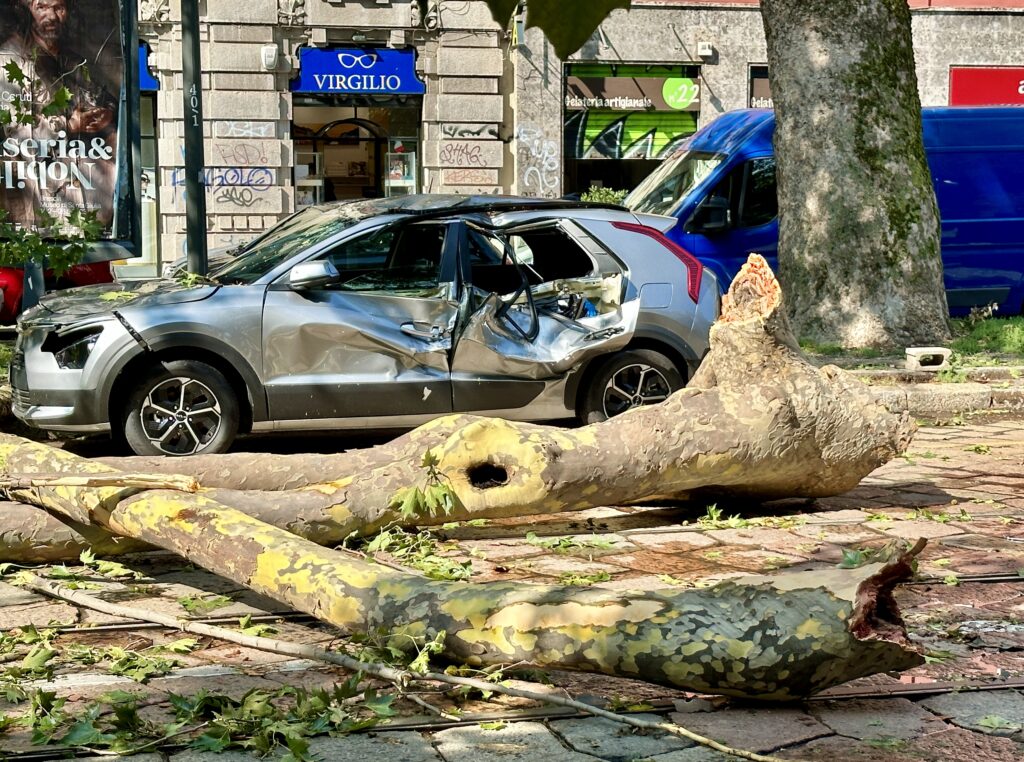 Alberi caduti a Milano per il nubifragio del 25 luglio 2023