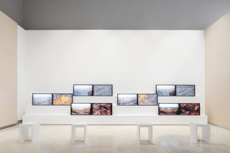 Alexandra Daisy Ginsberg, The Wilding of Mars, 2019, Veduta dell’installazione in ‘Ti con Zero’ presso Palazzo Delle Esposizioni, Roma, 2021. Photo Cappelletti © 2021 Azienda Speciale Palaexpo