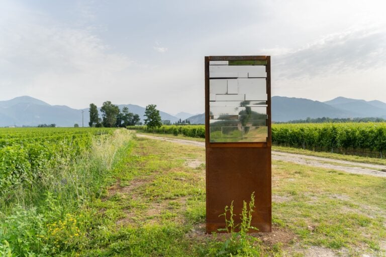 Caparbietà di Malina Lucaci_Vigneto Campagnole