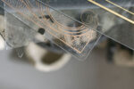 Chiara Bettazzi, Standby. Installation view, installation view at MAD, Firenze, 2023