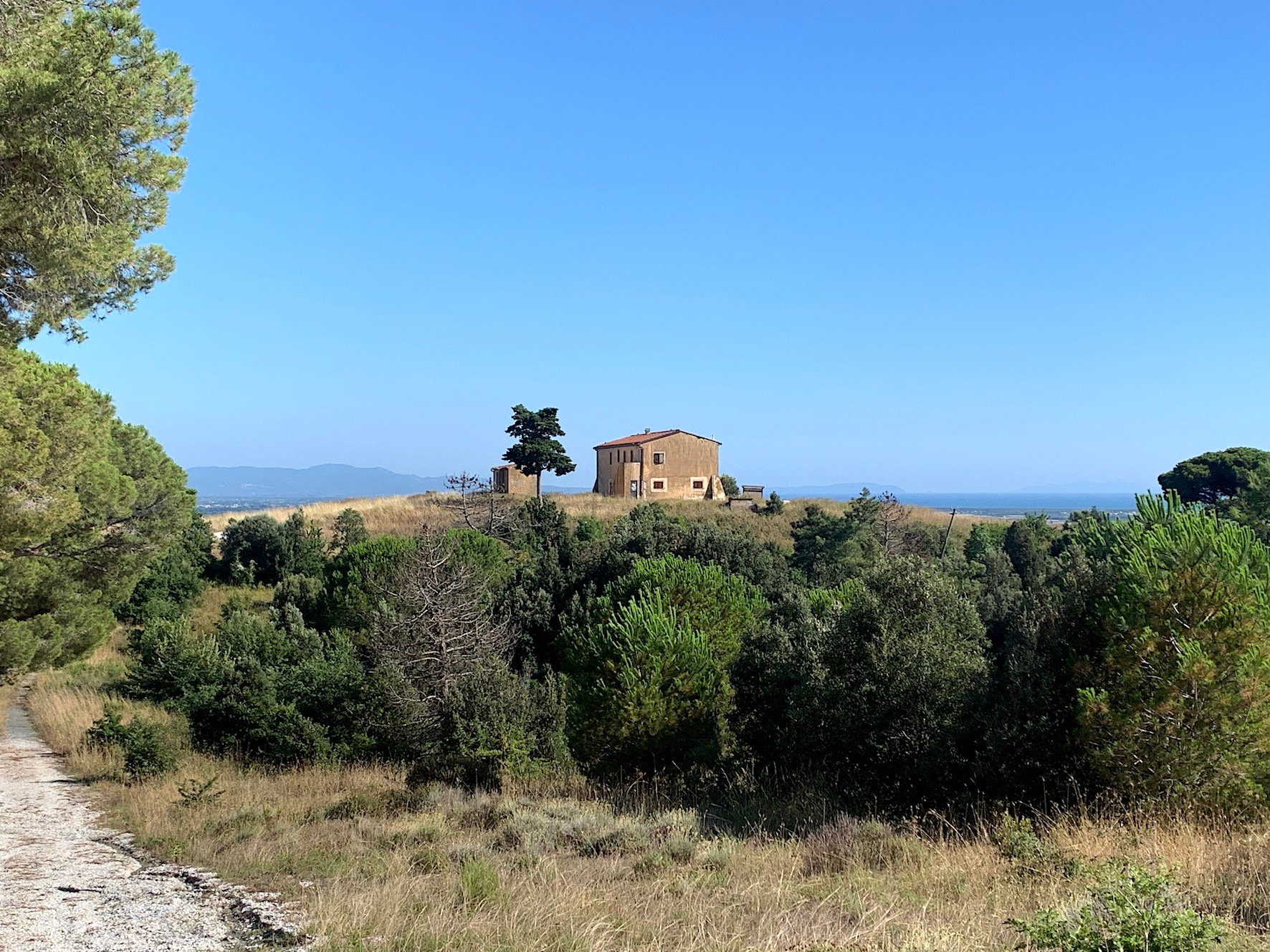 Festival Inequilibrio, Castiglioncello, 2023. Photo Claudia Zanfi