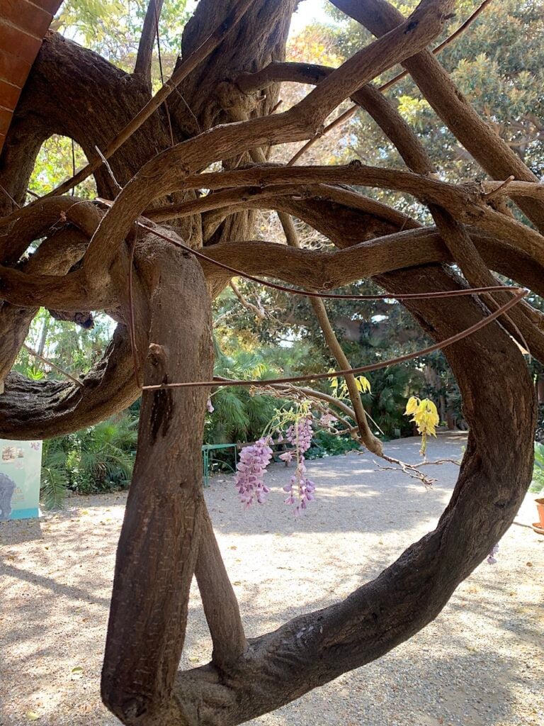 Giardino di Clarence Bicknell, Riviera Ligure. Photo Claudia Zanfi