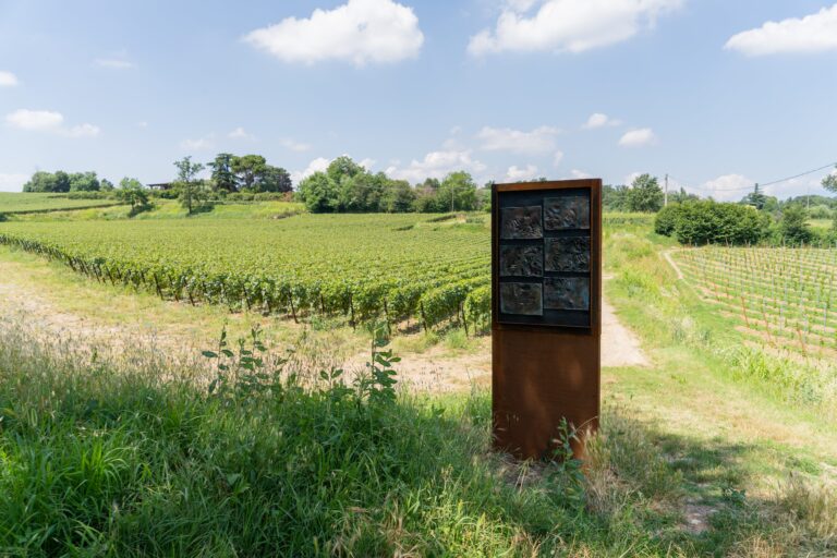 Le potentiel di Anais Sferrazza_Vigneto Ca_ del Bosco