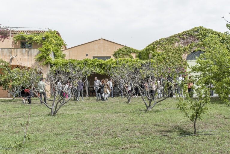 Planeta. Cantina dell'Ulmo Progetto Versoterra|Earthwards. Maria Lo Meo