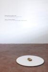 Shimabuku, Passing through the Rubber Band, 2000, installation view at ZERO..., Milano, 2023
