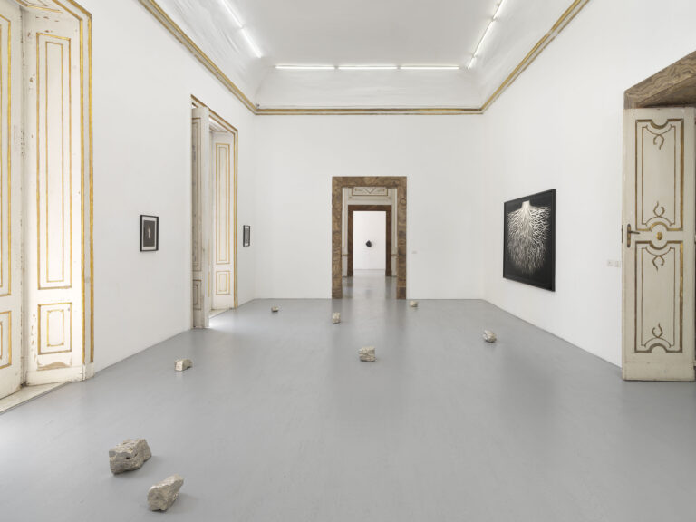 Veronica Bisesti, Dove brulica l'altrove, installation view at Alfonso Artiaco, Napoli, 2023