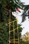 Wal, Acrobata, anni Duemila