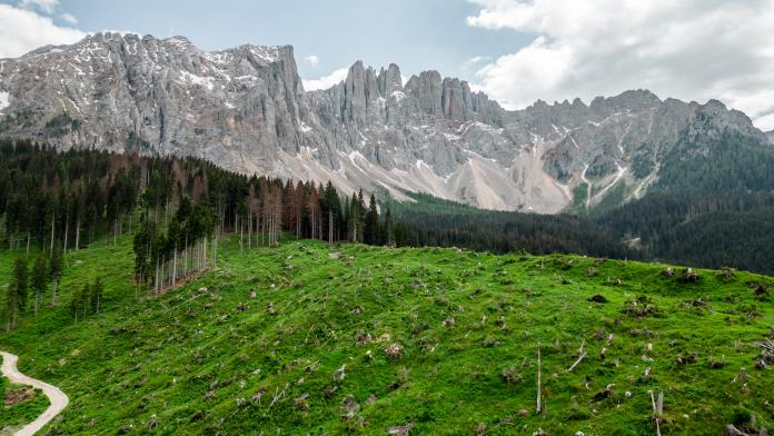 Vaia, Photo: Gabriel Eisath