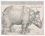Albrecht Dürer, Rhinocerus, 1515