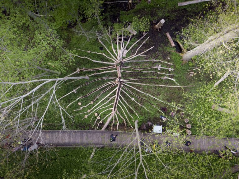 Anne Duk Hee Jordan & Pauline Doutreluingne, Brakfesten La Grande Bouffe, 2022, 28'14''. Still video. Cortesia delle artiste