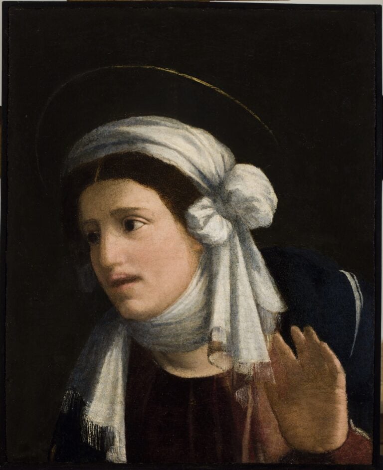 Battista Dossi, Testa della Madonna (frammento della Disputa di Cristo nel Tempio con il ritratto di Giovanni Battista Bosi), 1533 - 1534, Faenza, Pinacoteca Comunale