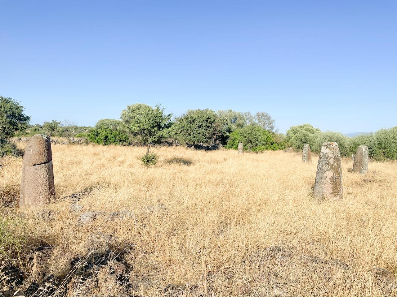 Campagne di Dualchi, Sardegna. Photo Cristian Chironi