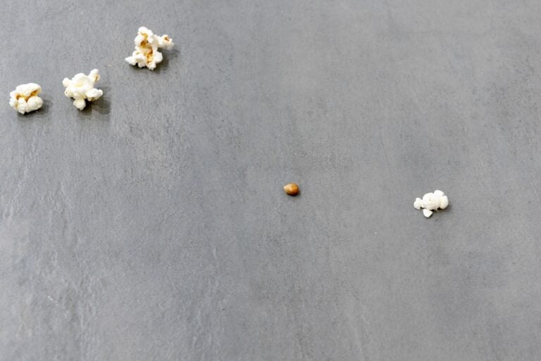 Carmela De Falco, Pop-corn and one corn, 2020, particolare. 7 kili di pop-corn e un chicco di mais, dimensioni variabili. Courtesy l’artista & LO.FT, Lecce. Photo Alice Caracciolo