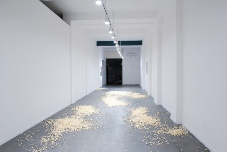 Carmela De Falco, Pop-corn and one corn, 2020. 7 kili di pop-corn e un chicco di mais, dimensioni variabili. Courtesy l’artista & LO.FT, Lecce. Photo Alice Caracciolo